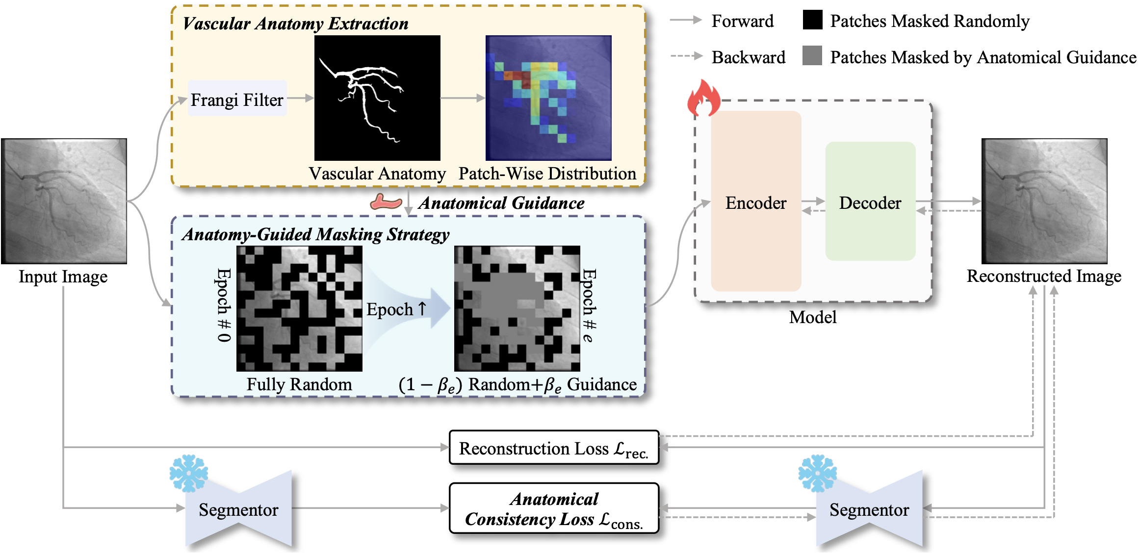 VasoMIM: Vascular Anatomy-Aware Masked Image Modeling for Vessel Segmentation