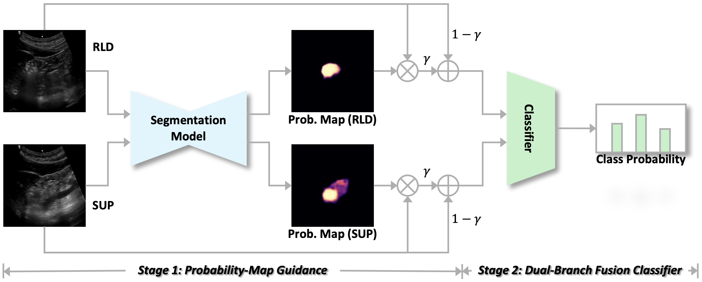 REASON: Probability map-guided dual-branch fusion framework for gastric content assessment