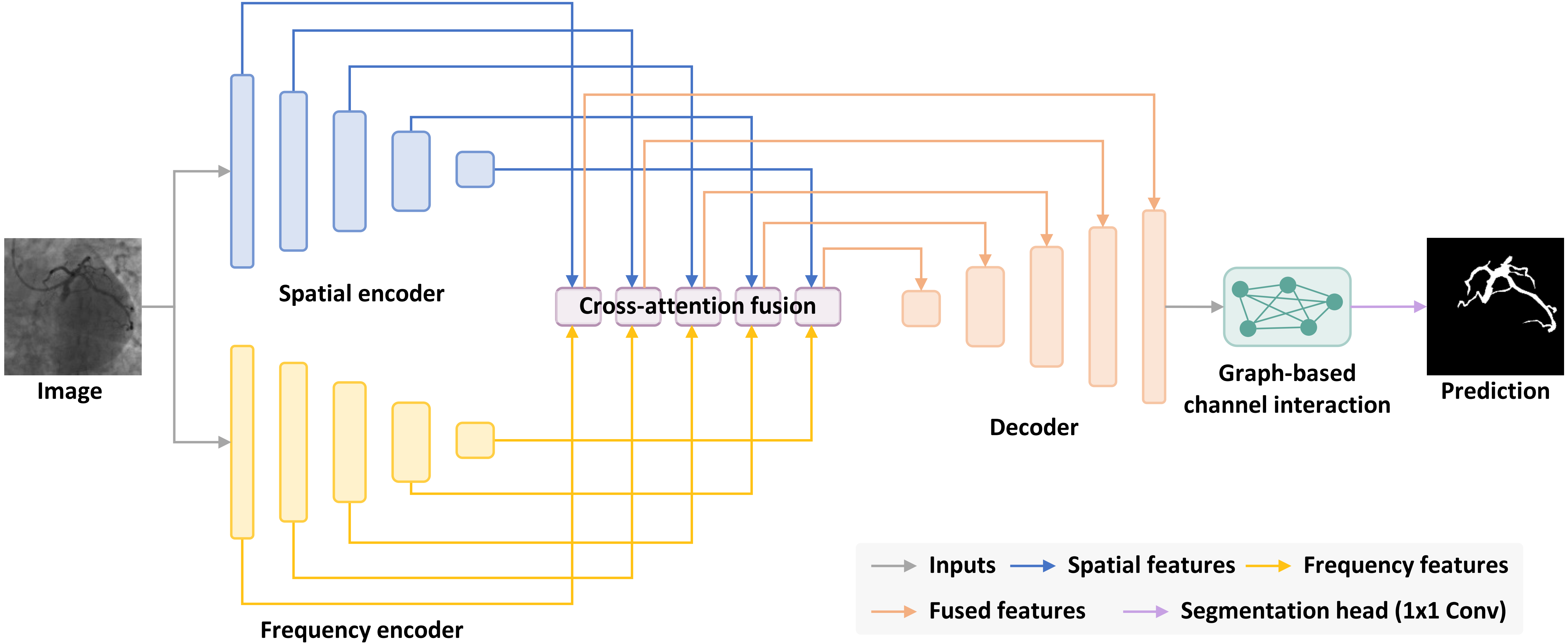SPIRONet: Spatial-frequency learning and graph-based channel interaction network for vessel segmentation