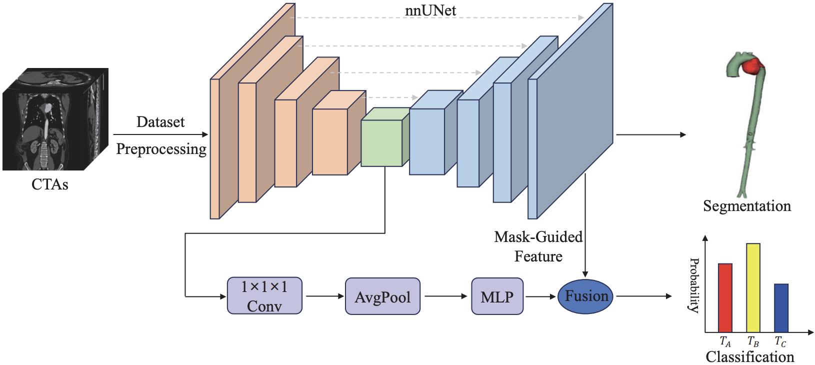 Mask-Guided Multi-Task nnU-Net for Automated Segmentation and Classification of Blunt Traumatic Aortic Injury