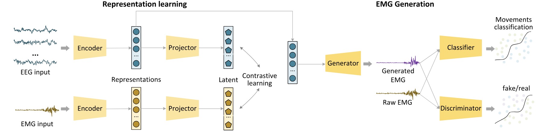 Learning Motor Cues in Brain-Muscle Modulation